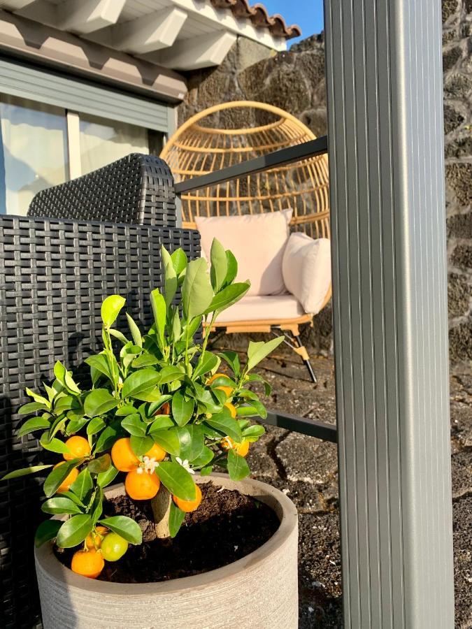 Picoterrace * Madalena (Azores)