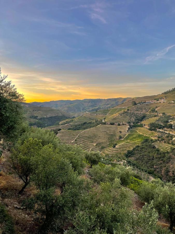 Casa Dos Barros Winery By Vintage Theory Farm stay *