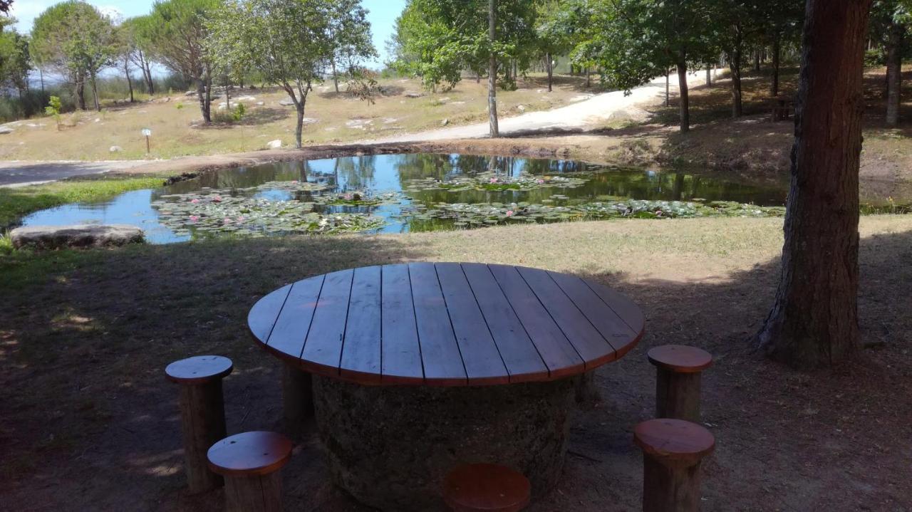 Farm stay Quinta Da Fonte - Barroselas