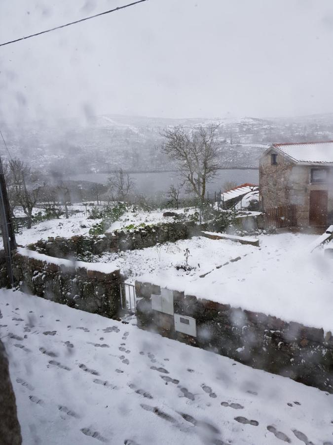 Casa Da Relva Inspirada Em Harry Potter Chalet