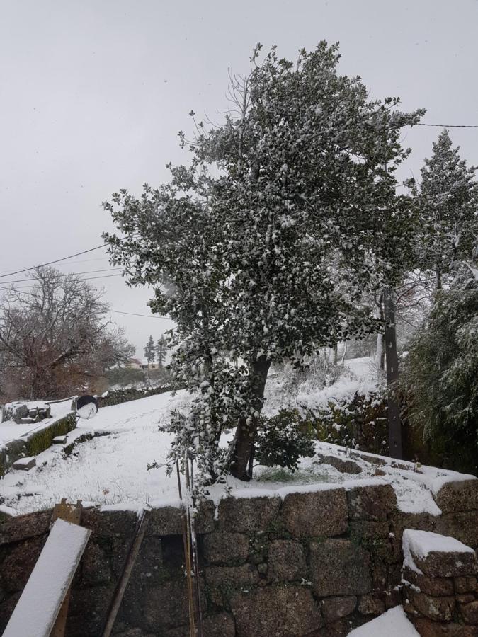 Casa Da Relva Inspirada Em Harry Potter Chalet Lamego
