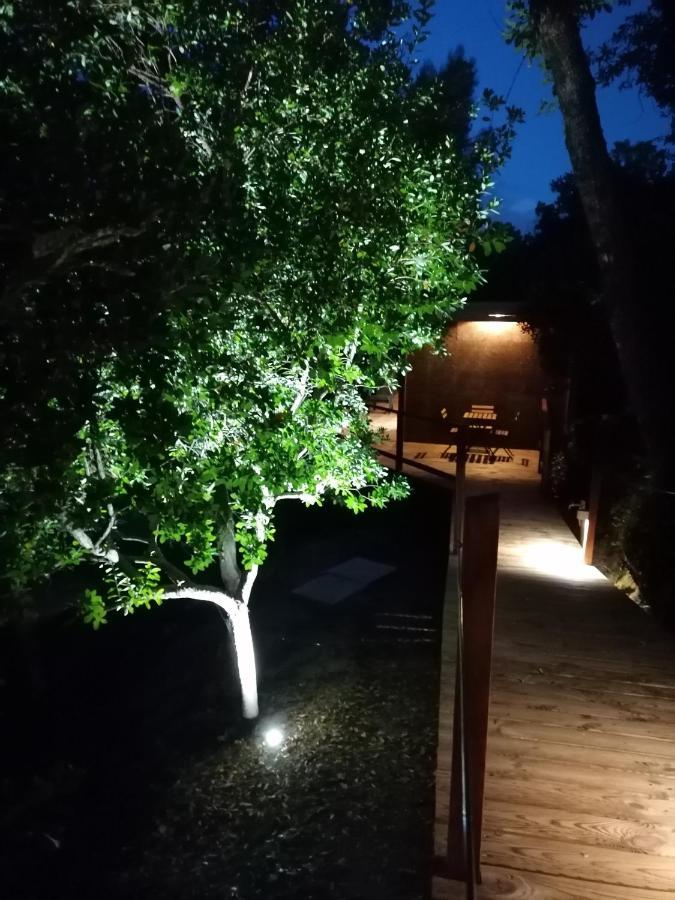 Quinta Mata Da Se