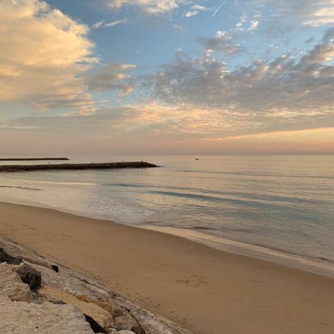 -guest House - Caparica - - Surf Sun And Lisbon Lovers Chalet Trafaria
