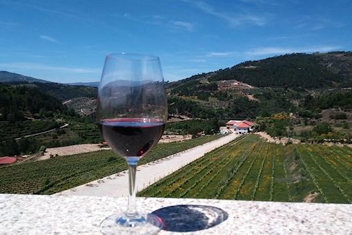 Resort Douro Cister 4*