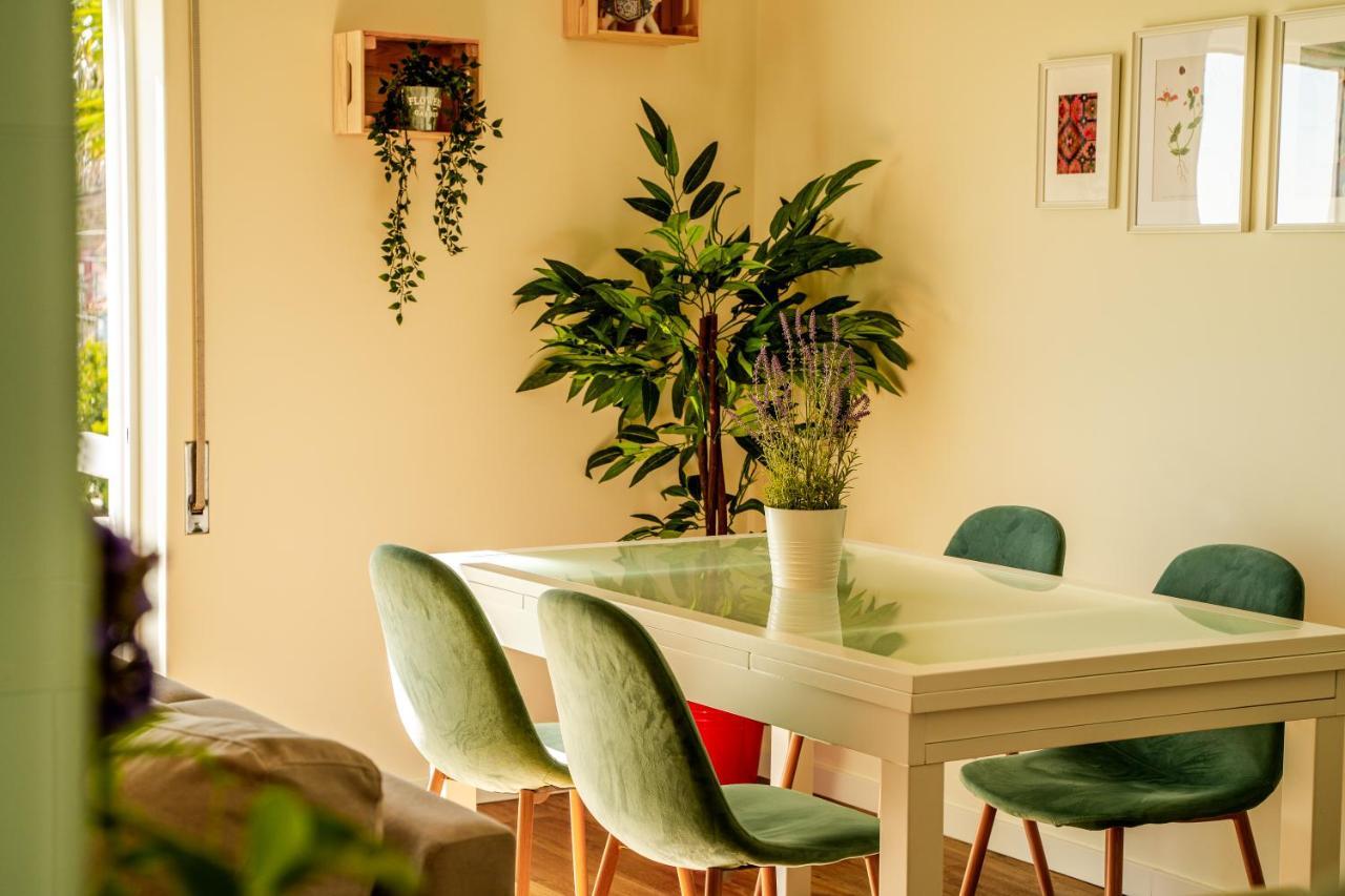 Apartamento Paz&amor Flat - Peace&love *