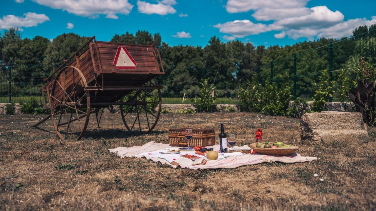 Arca Dos Animais - Farming & Country house