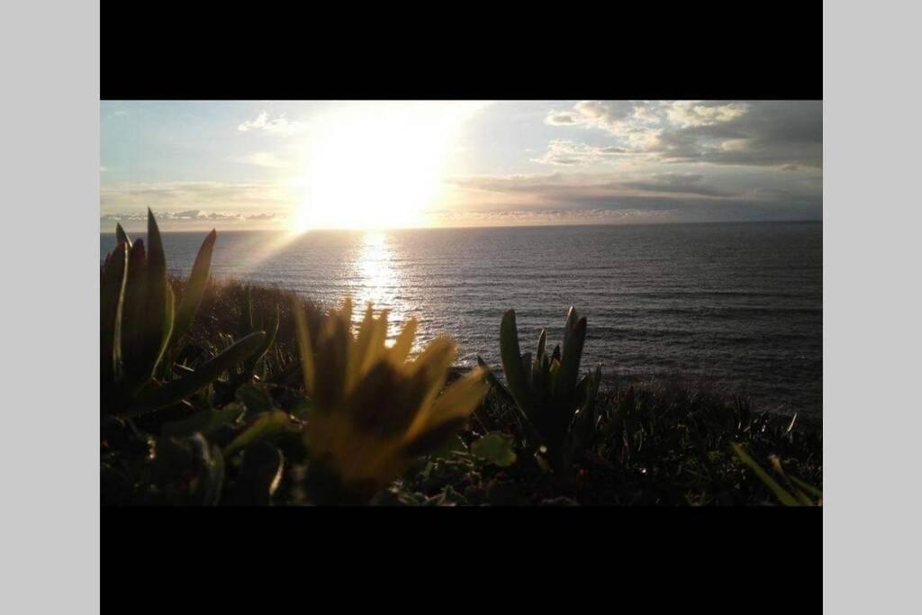 Casa de férias A Casa Da Foz Moradia Com Vista Mar