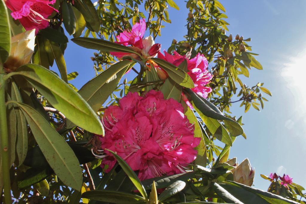 Quinta Das Quintas & Spa Casa de hóspedes