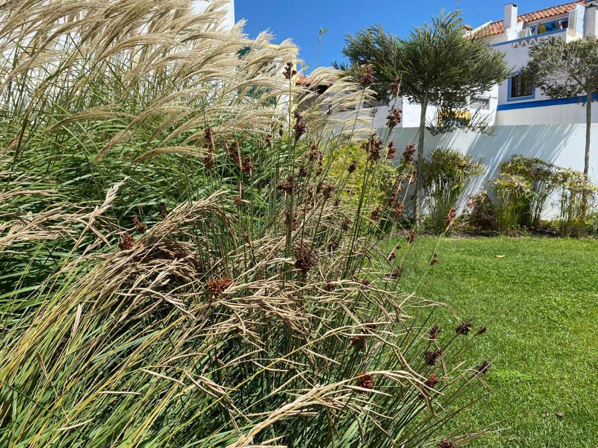 Guest house Eira Vila Nova de Milfontes