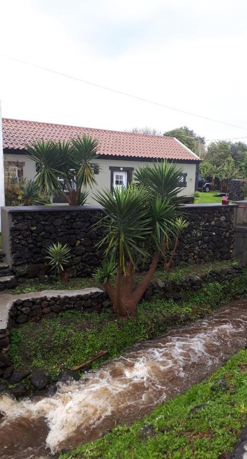 Holiday home De Baixo Da Ponte *