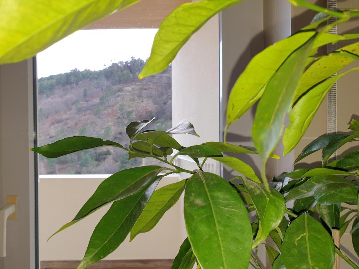 Apartamento Altavista Penthouse T2 Covilhã