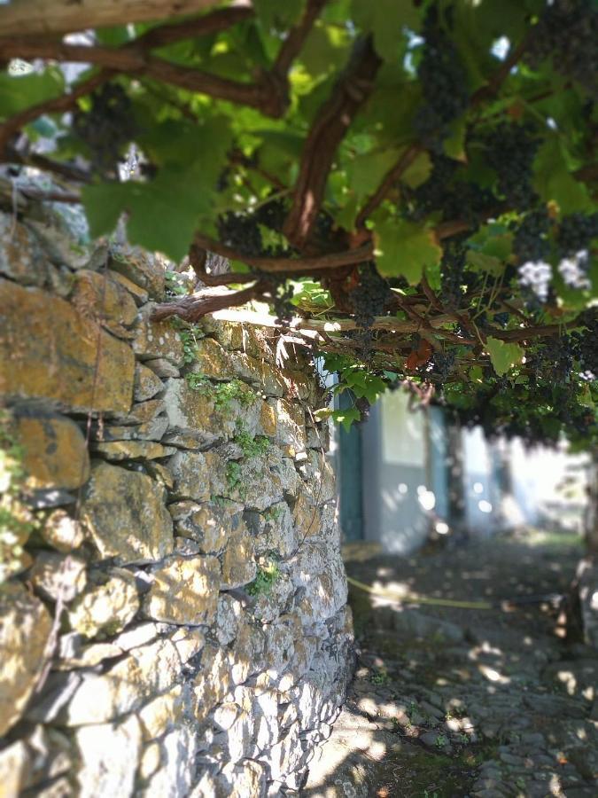 Apartment Lazy Lizard By The Ocean Seixal (Madeira)