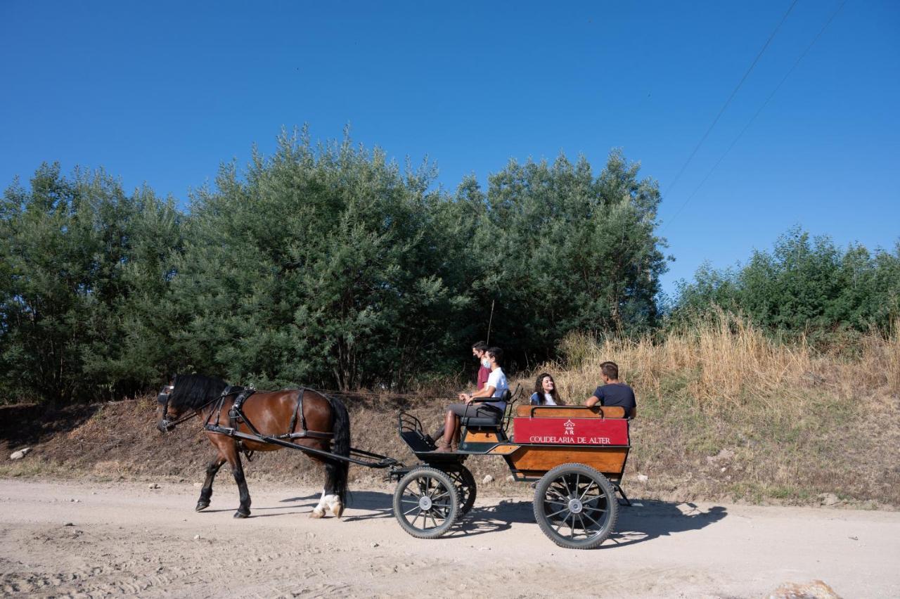 Gale Collection Alter Real - Equestre, Conference&spa 4*