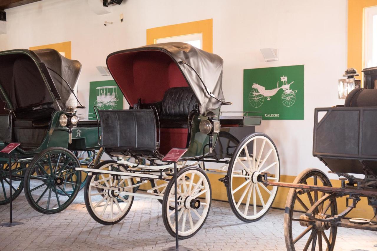 Gale Collection Alter Real - Equestre, Conference&spa Hotel