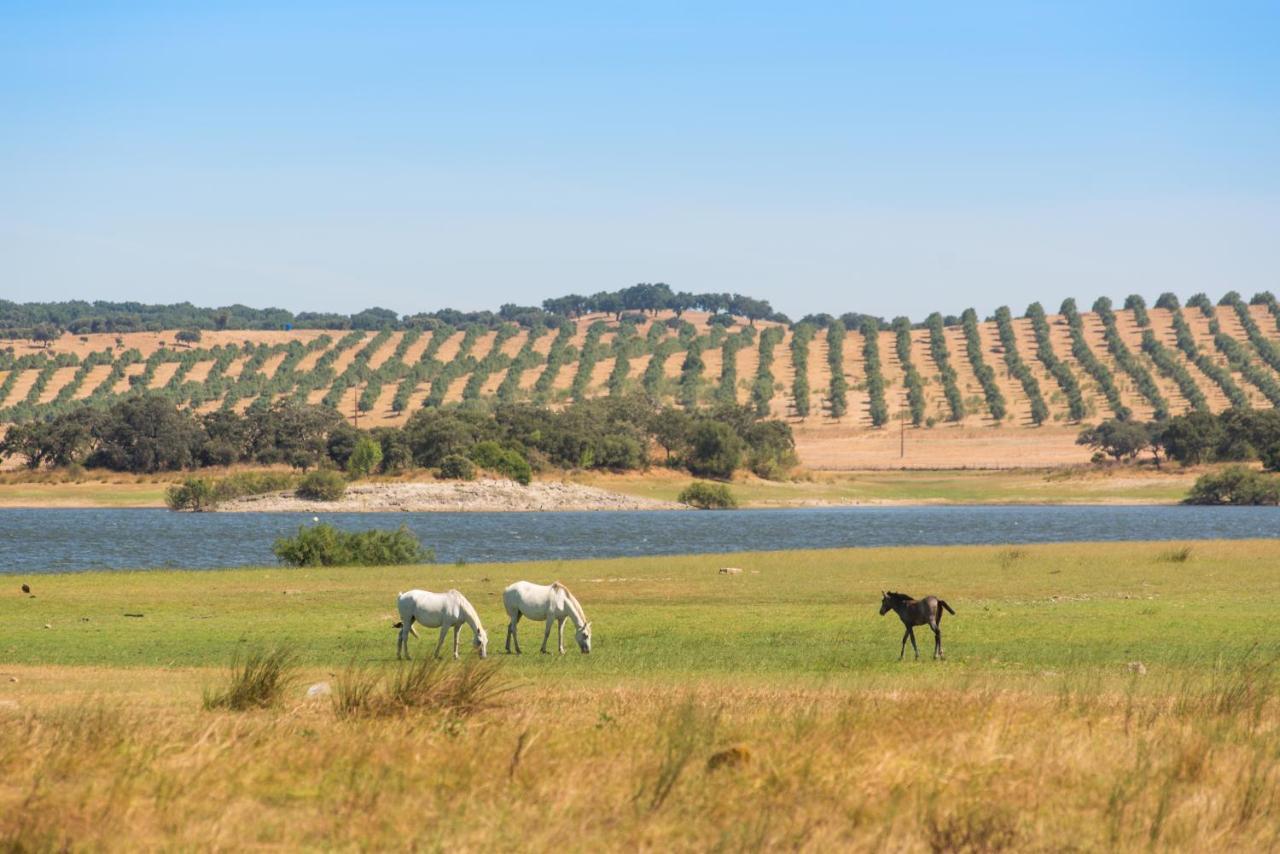 Gale Collection Alter Real - Equestre, Conference & Hotel 4*