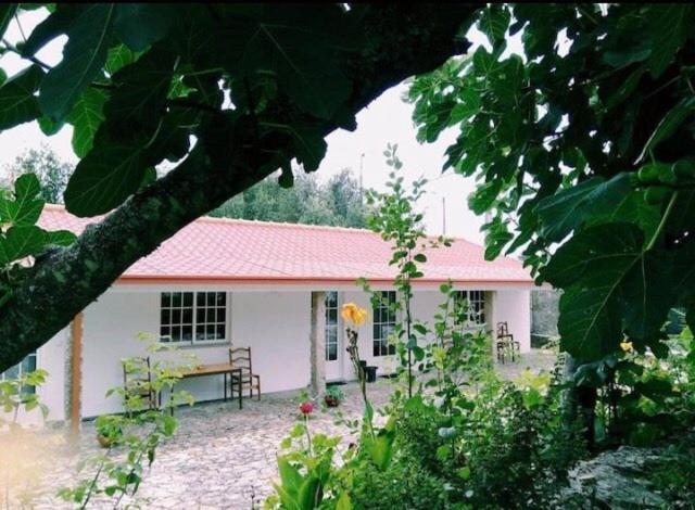 Casa Boavista Farm stay