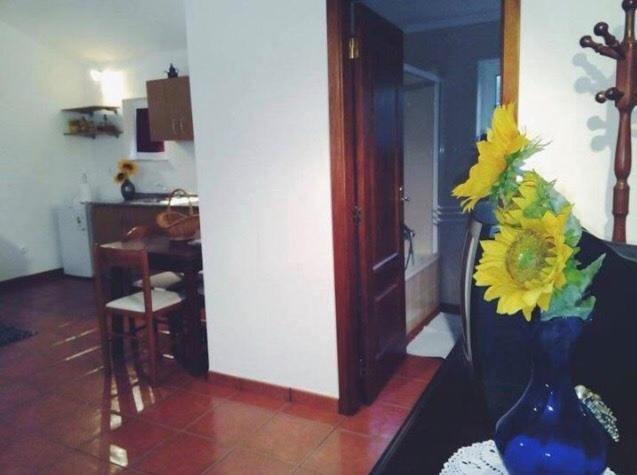 Farm stay Casa Boavista Paredes de Coura