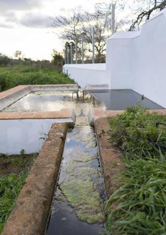 Herdade Da Maridona - Estremoz