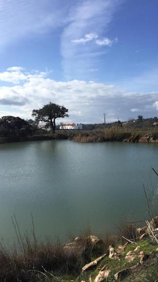 Vakantieboerderij Herdade Da Maridona - Estremoz
