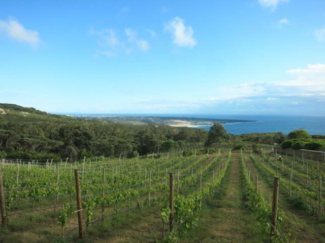 Farm stay Quinta Vale Da Roca Sintra
