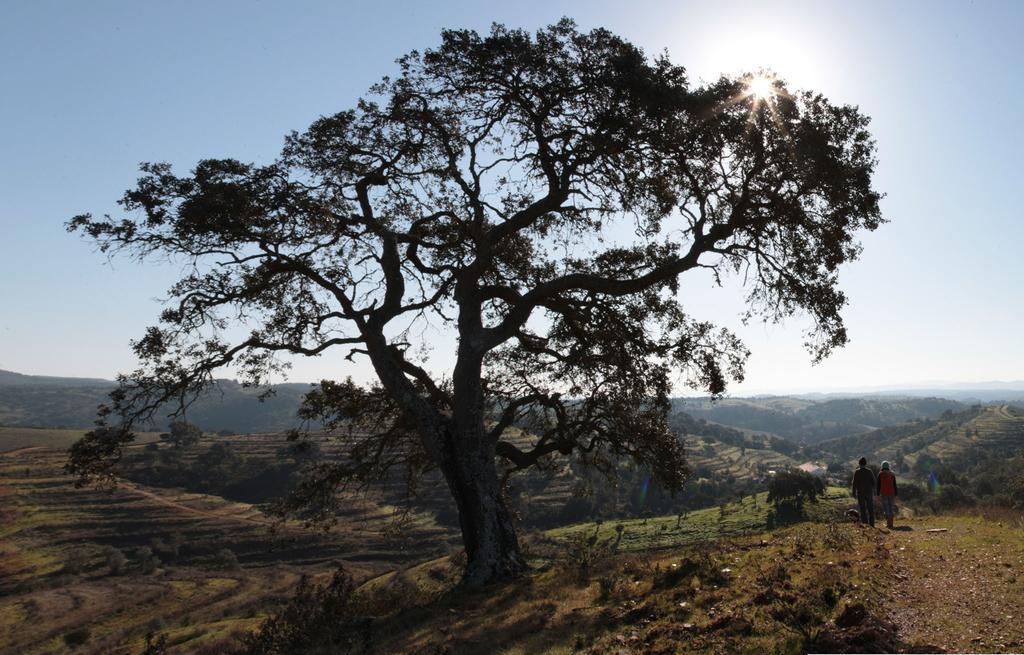 Quinta Do Chocalhinho &