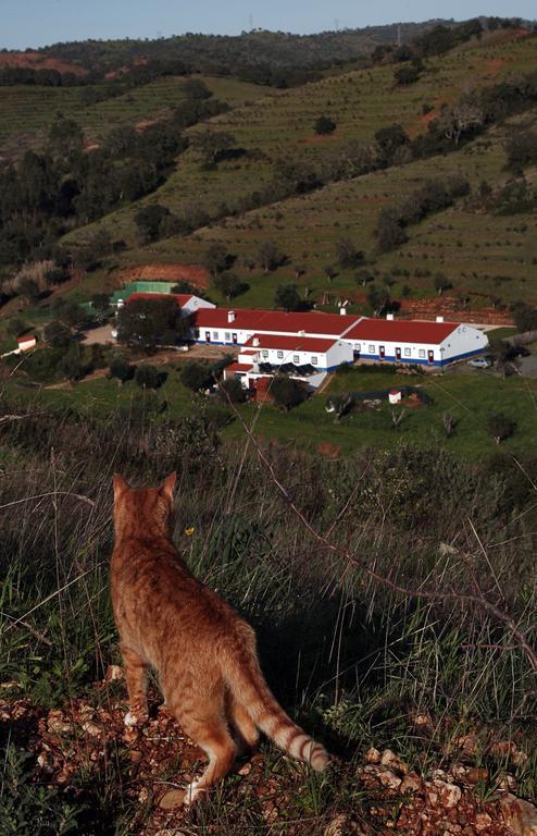 Landhuis Quinta Do Chocalhinho &