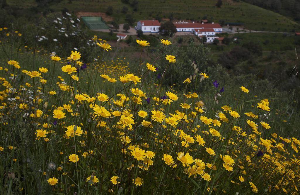 Quinta Do Chocalhinho &