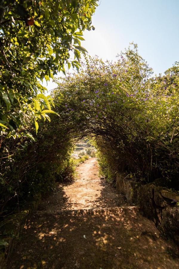 Farm stay Quinta Da Fonte - Barroselas