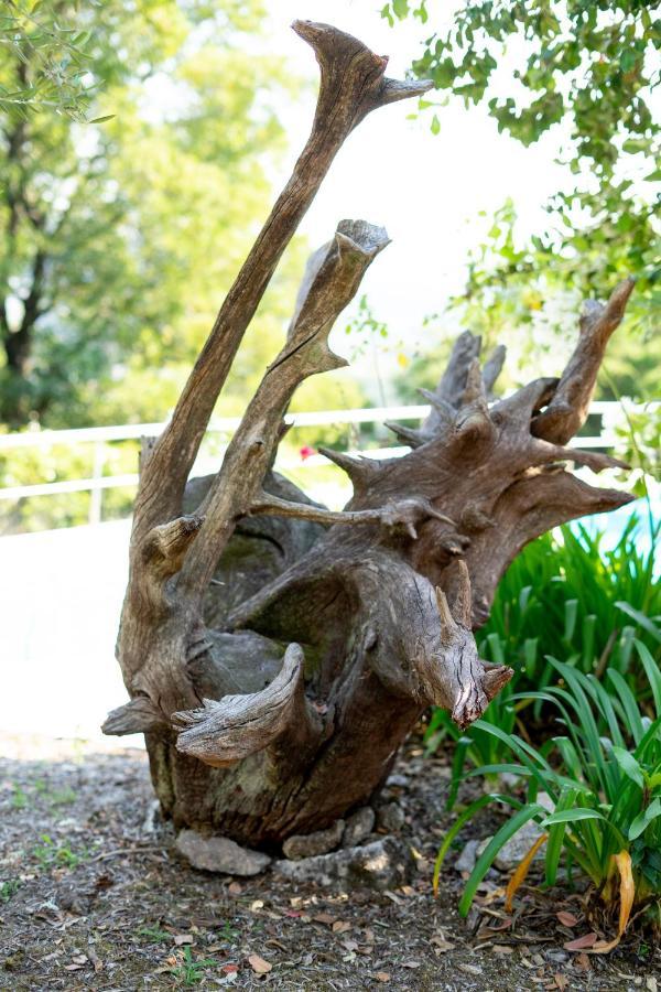 Farm stay Quinta Da Fonte - Barroselas