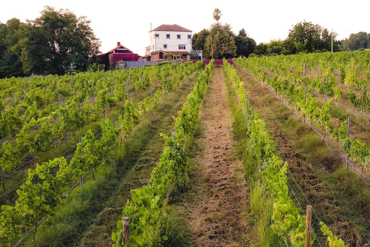 Quinta De Nova - Moncao