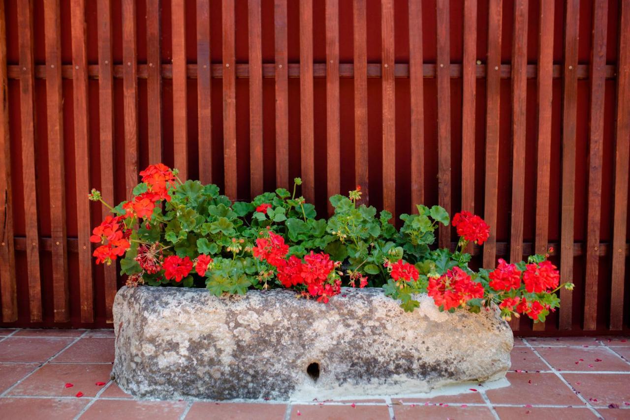 Apartamento Quinta De Nova -