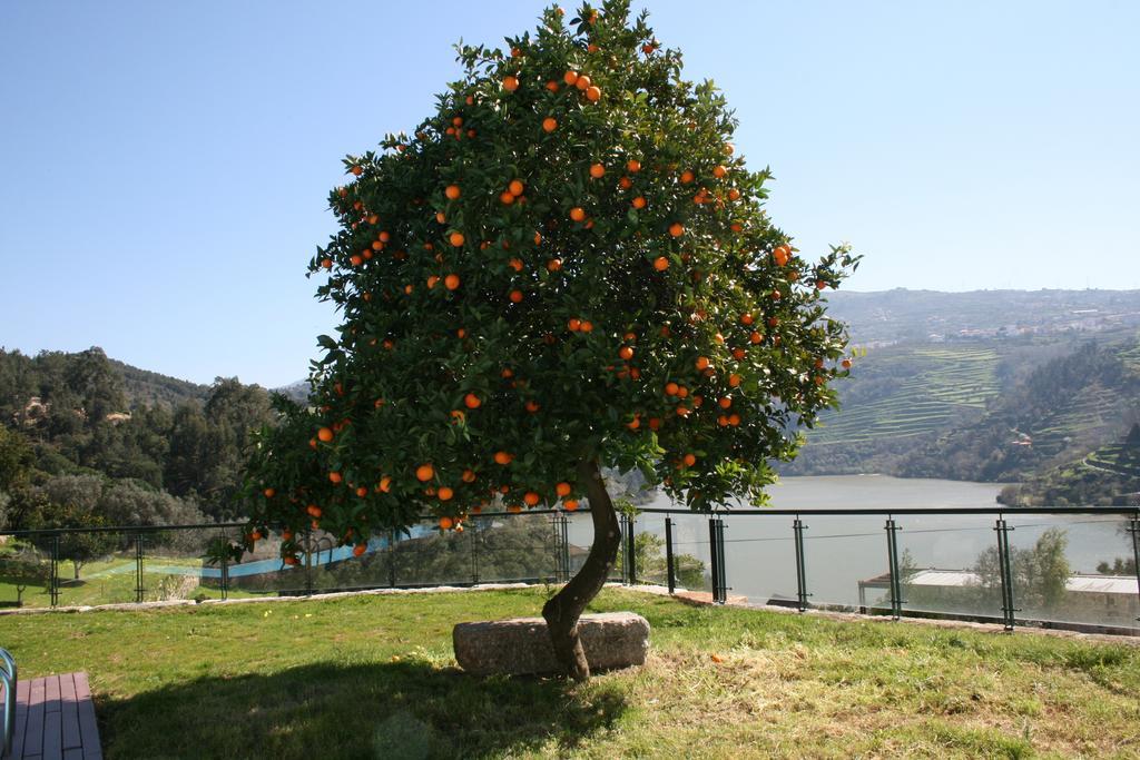 Quinta Das Quintas & Spa Casa de hóspedes