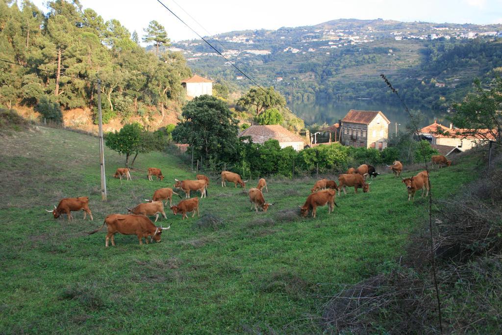 Quinta Das Quintas & Spa Casa de hóspedes 4*