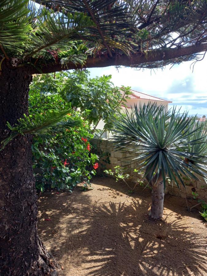 Casa de férias Quintinha Lombas Porto Santo