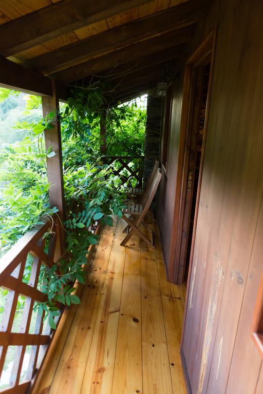 Farm stay Quinta Da Rabacosa - *
