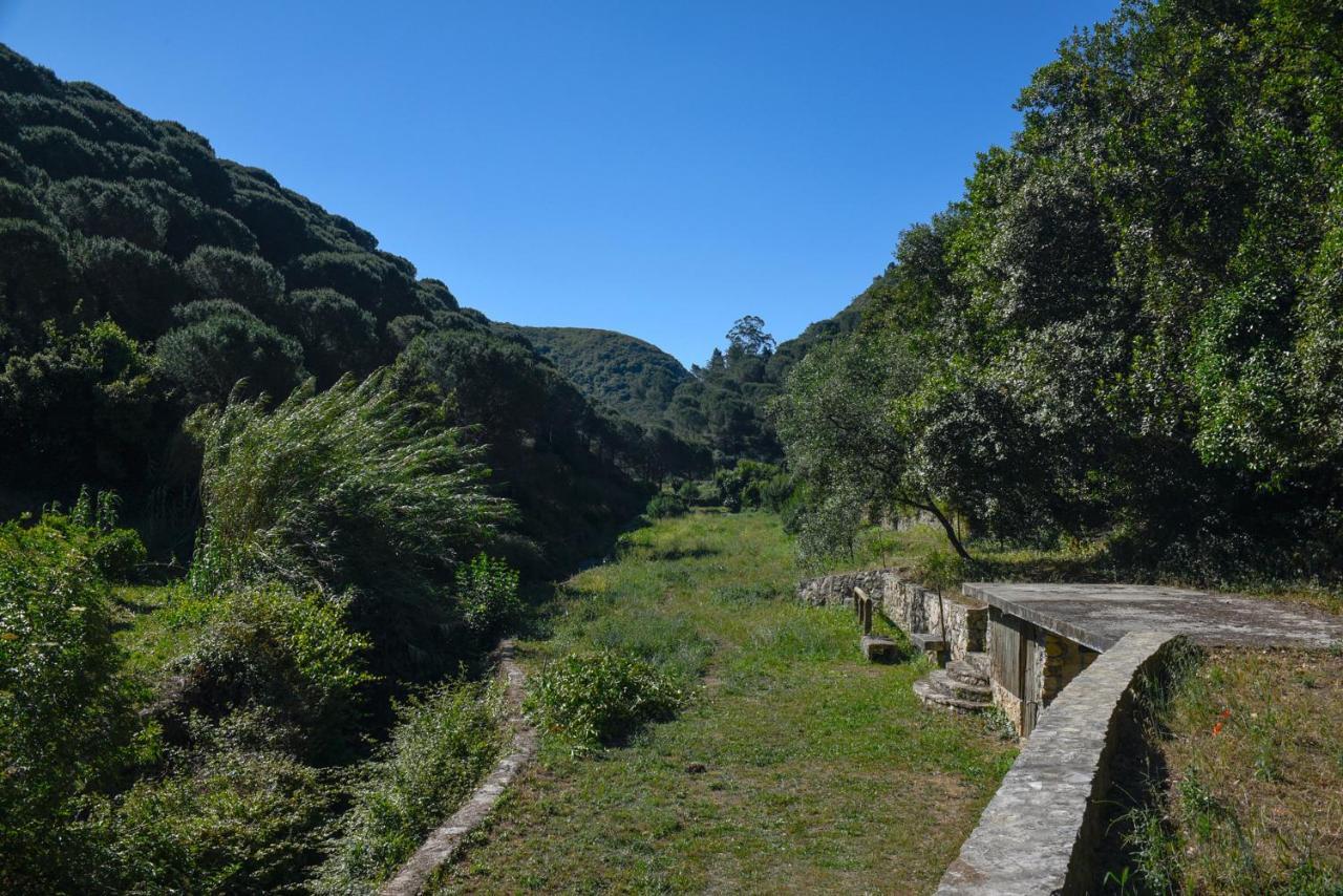 Farm stay Quinta De Rio Alcaide Porto de Mos (Leiria)