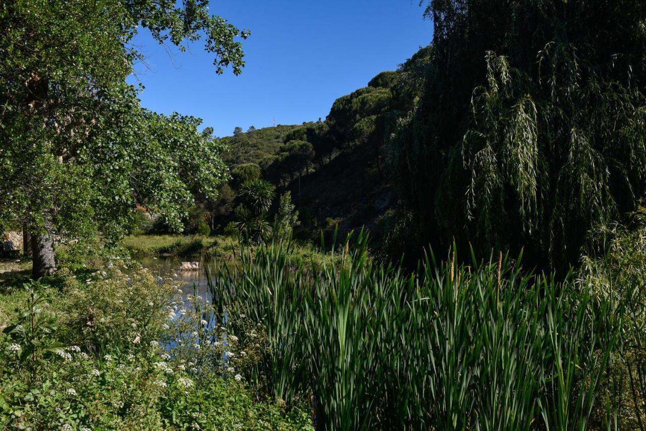 Quinta De Rio Alcaide *