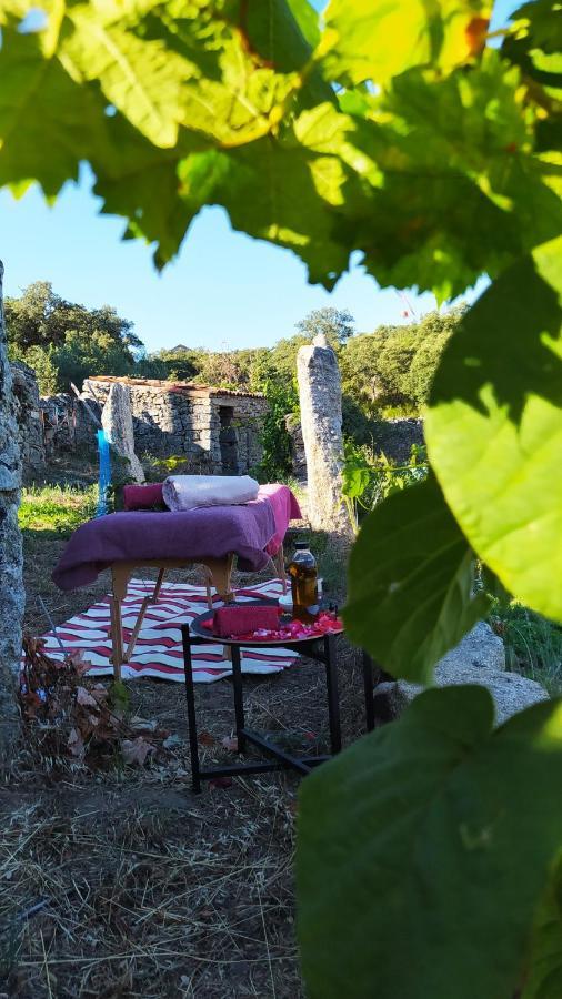 Farm stay Casa D'augusta - Miranda do Douro