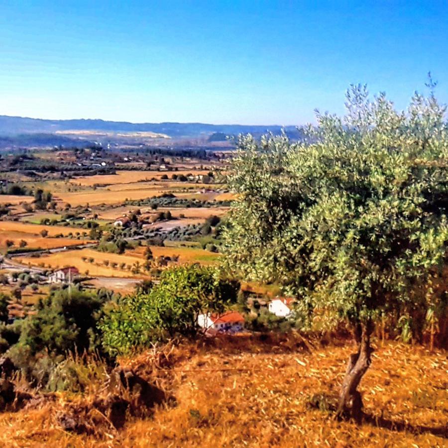 Holiday home Dona Gracia Belmonte Belmonte (Castelo Branco)