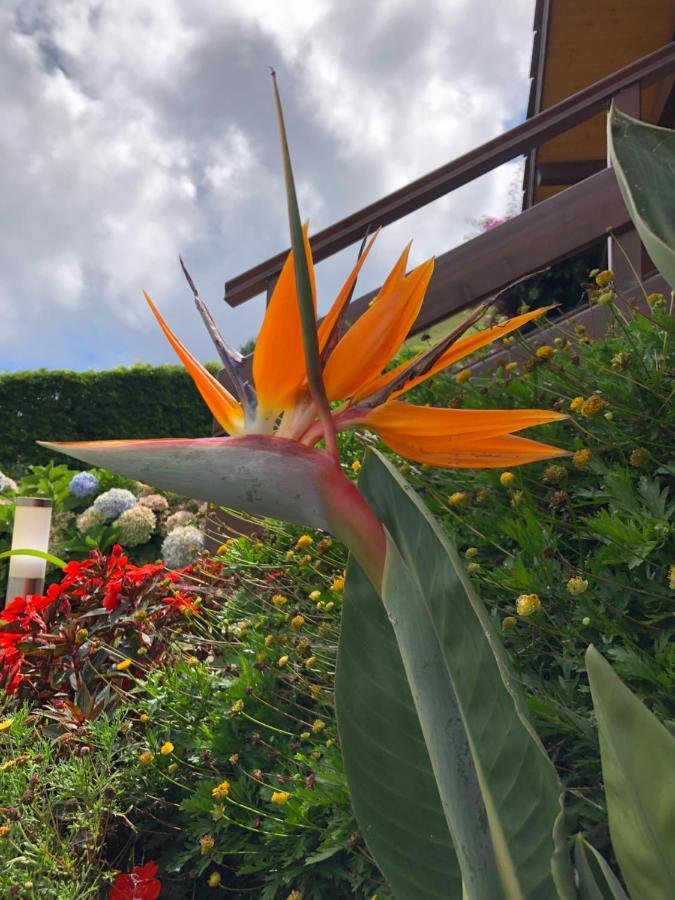 Holiday home Quinta Da Pavoa - House *