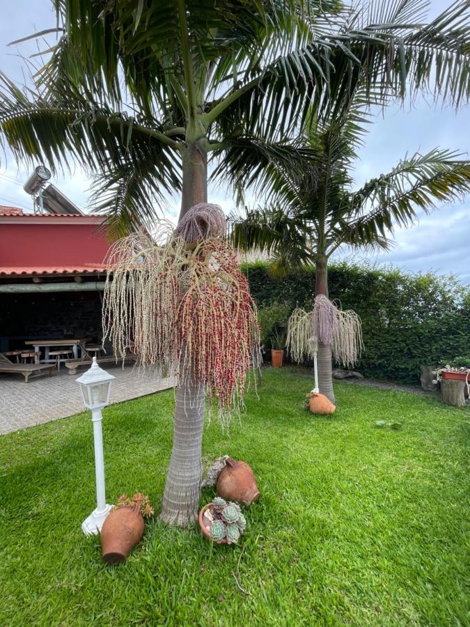 Casa Dos Avos * Calheta (Madeira)