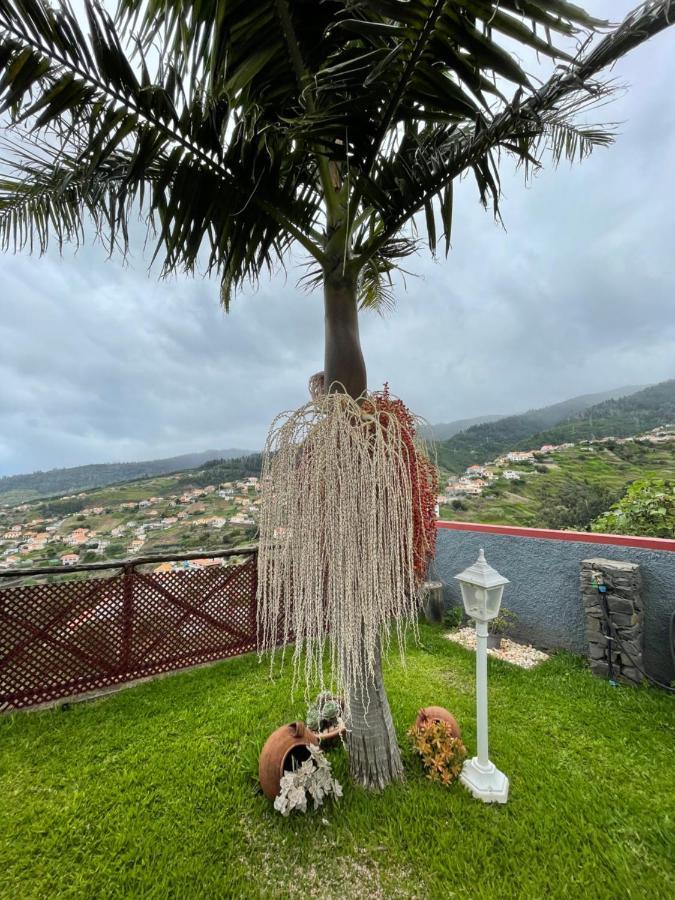 Casa Dos Avos Holiday home *