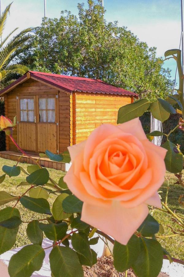 Casa Do Villa