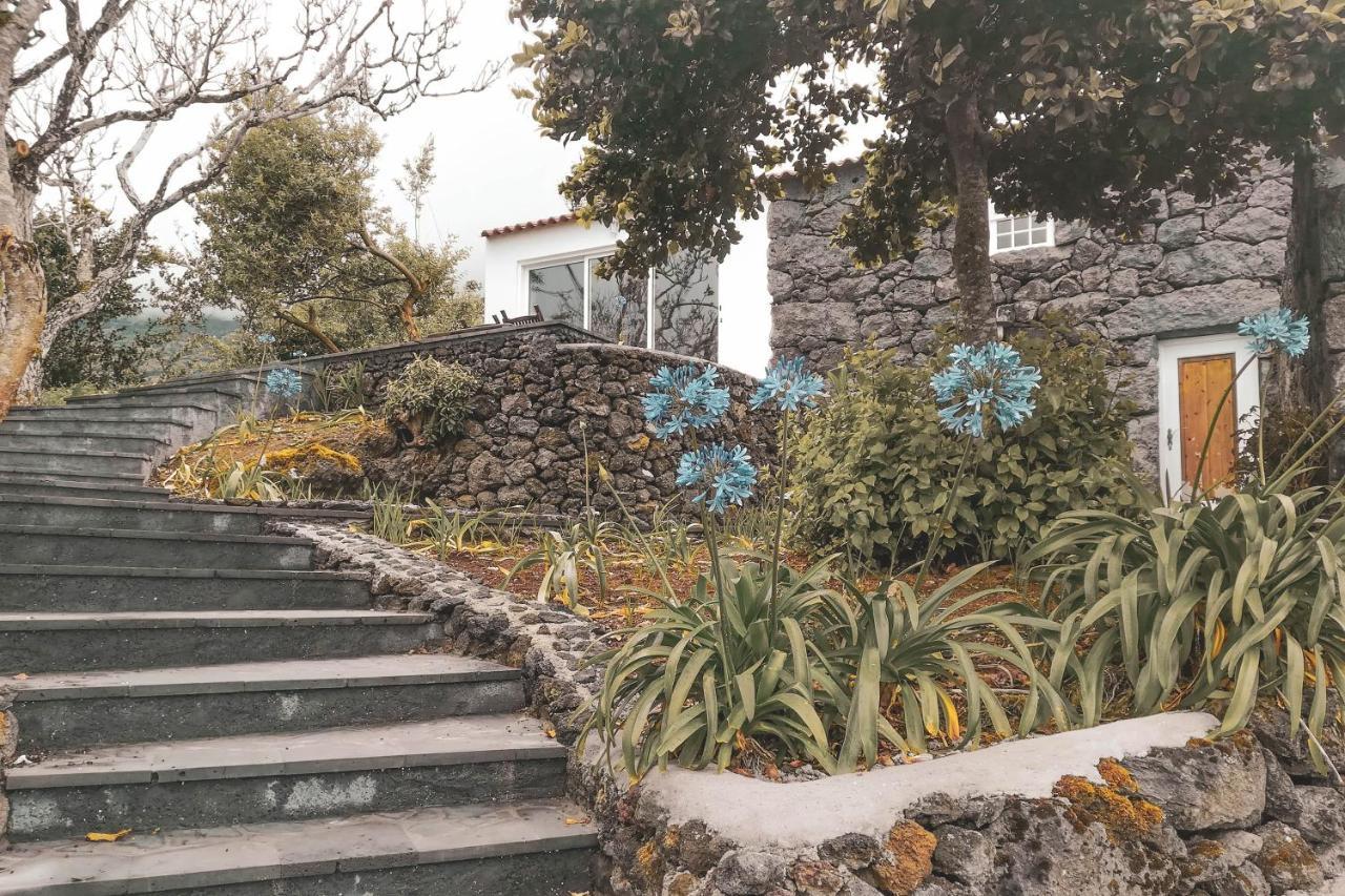 Adegas Do Pico Villa *