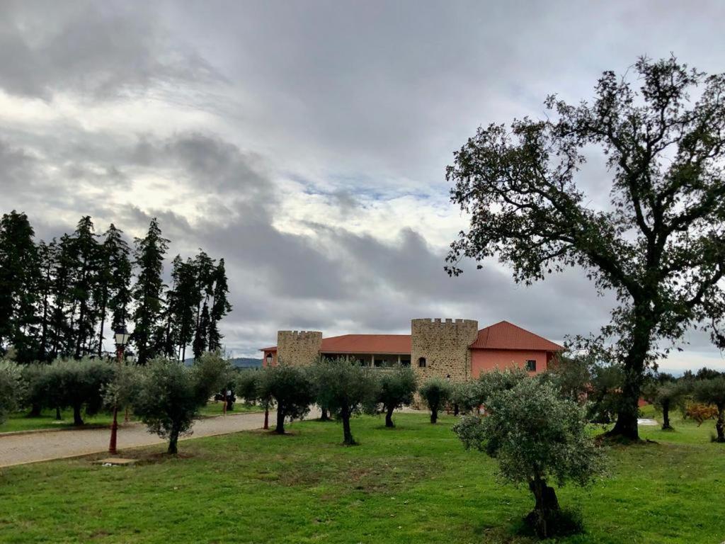 Palace & Termas De Sao Tiago 4*
