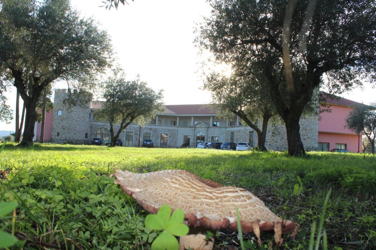 Palace & Termas De Sao Tiago Hotel