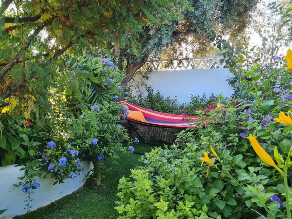 Aqui N' Al-deia Country house Mertola