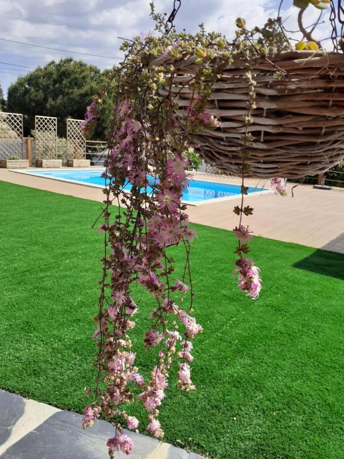 Country house Aqui N' Al-deia