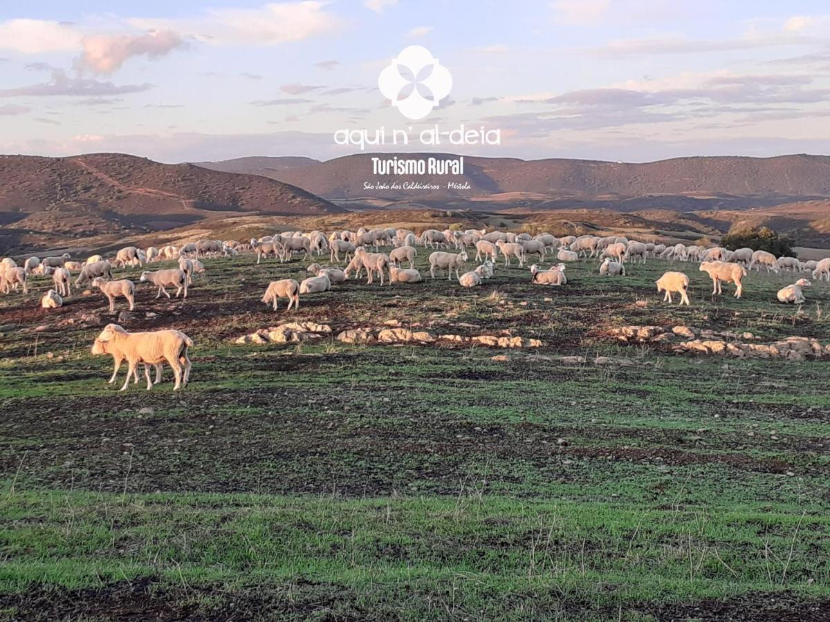 Aqui N' Al-deia Country house Mertola