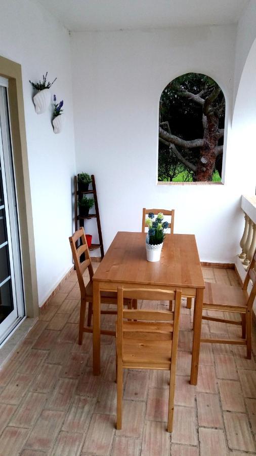 Queen Palm Apartment
